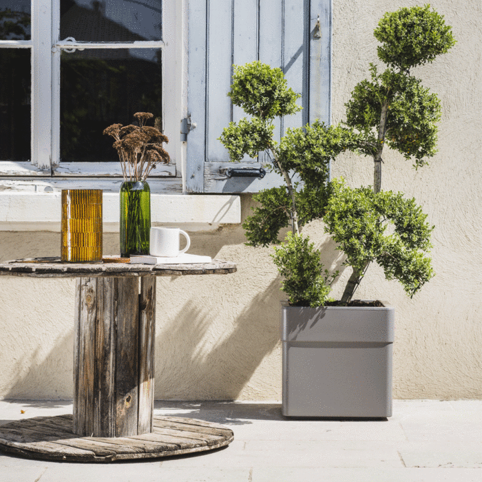 EDA Carel Quadratischer Pflanzkübel 40 cm mit Rädern - 26 L - Doppelwandig - Matttaupe