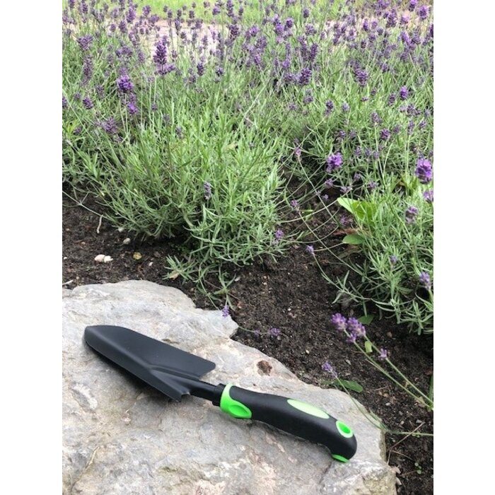 Dutchlander Planten of pootschepje 31 cm lang x 7,5 cm breed