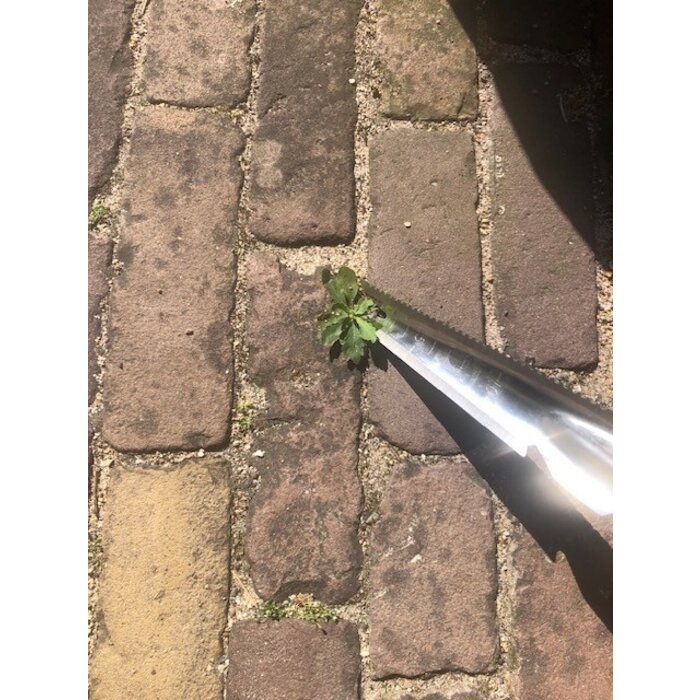 Dutchlander Weed & ; Dandelion Cutter - Acier inoxydable avec manche en bois