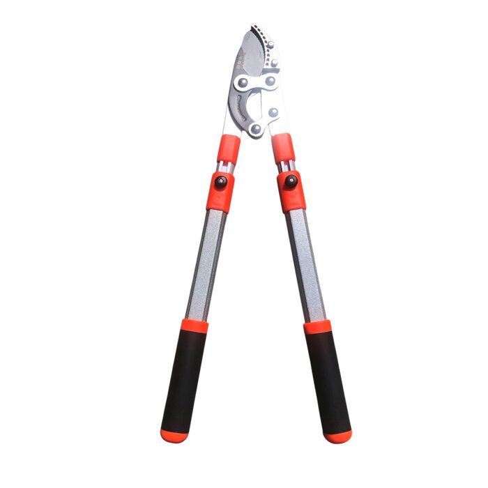 Dutchlander Telescopische aambeeld-takkenschaar 65-98 cm softgrip