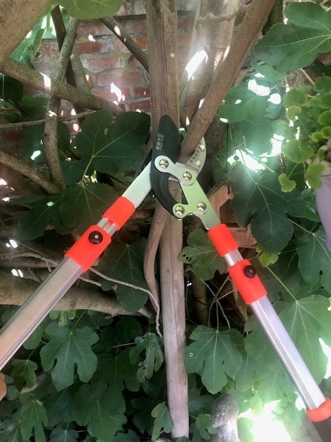 Dutchlander Teleskop-Ambosszange 65-98 cm Softgrip