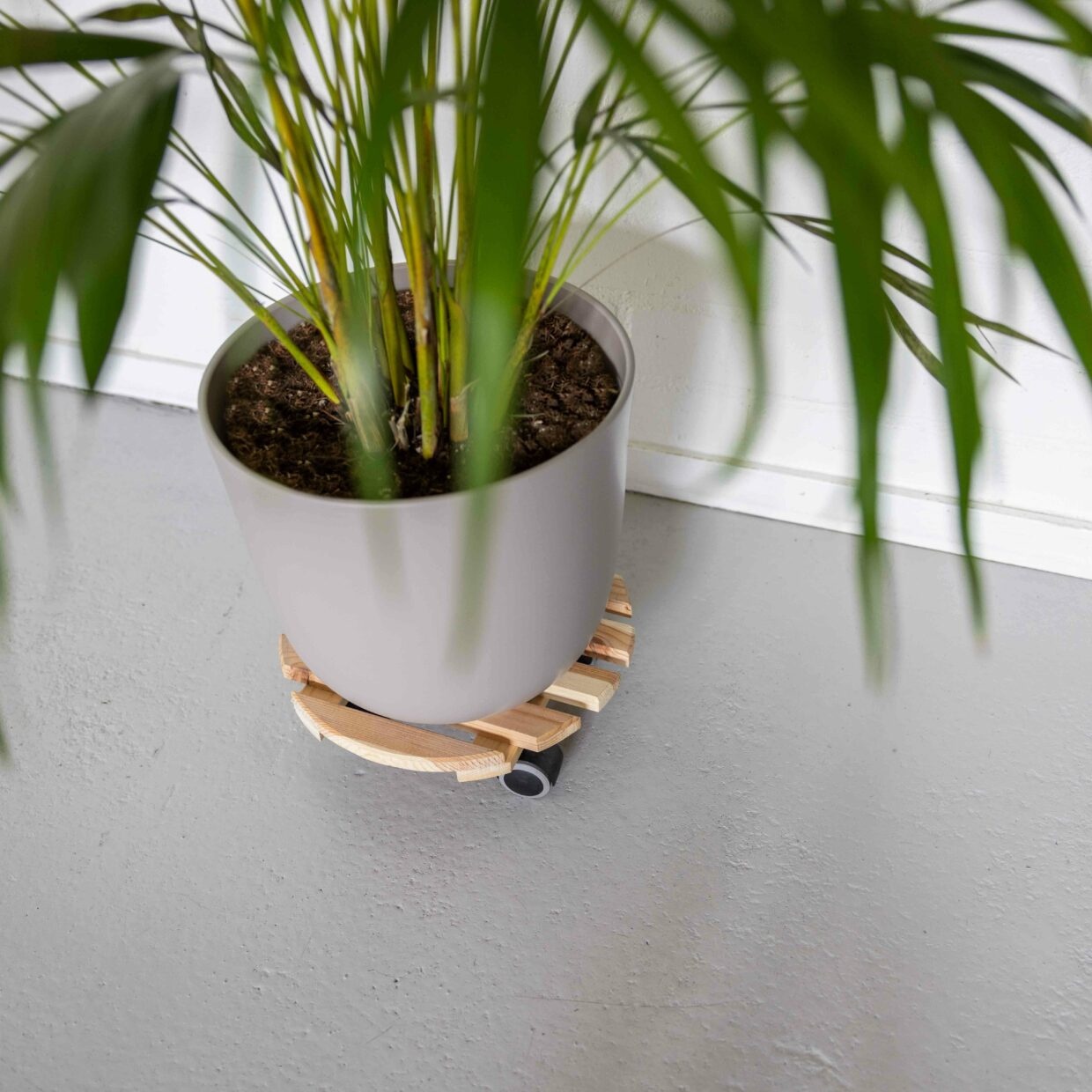 EDA Trolley Naturholz rund innen 29 cm