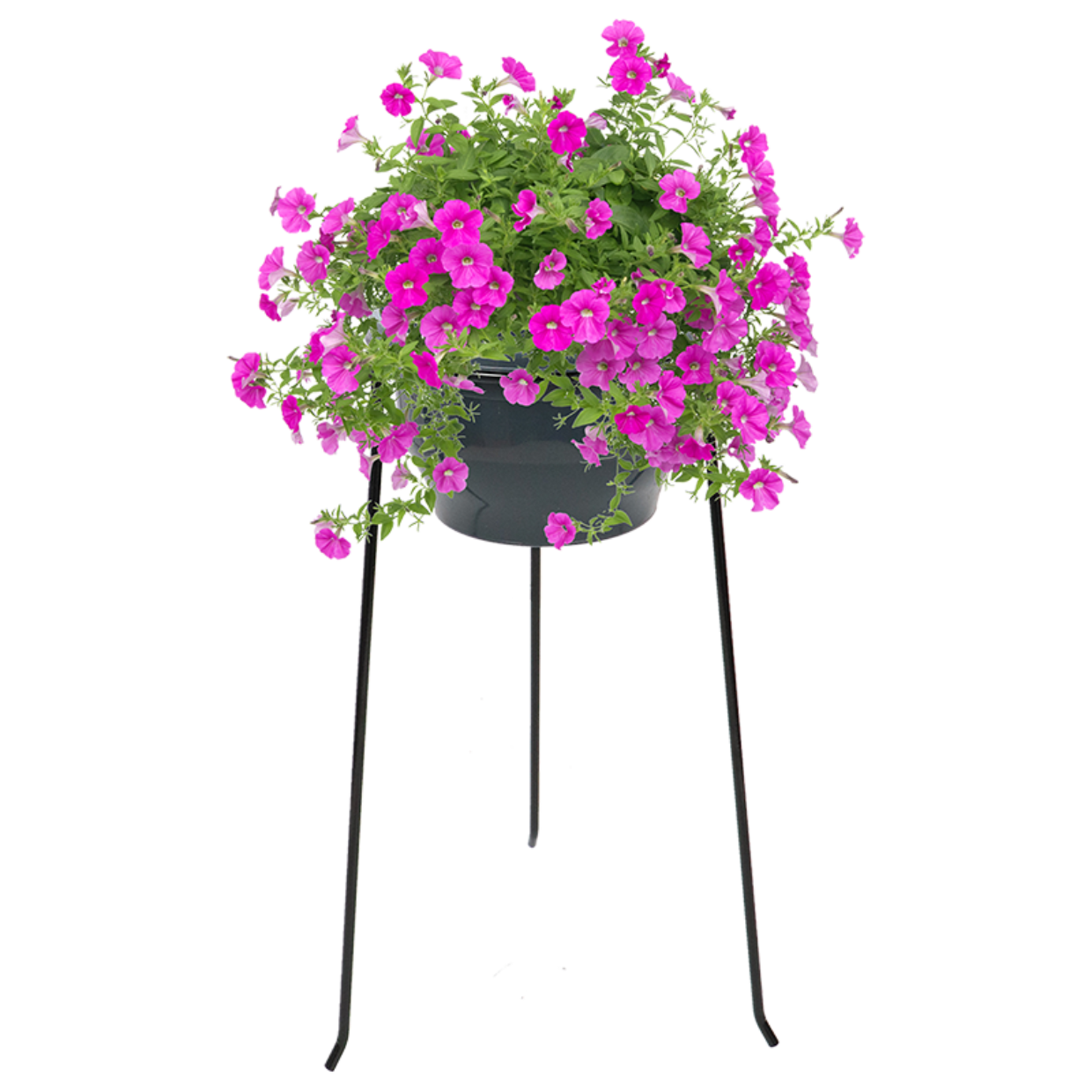 Bloempot Standaard Metaal – Ø21 cm – Hoogte 50 cm – Mat Zwart