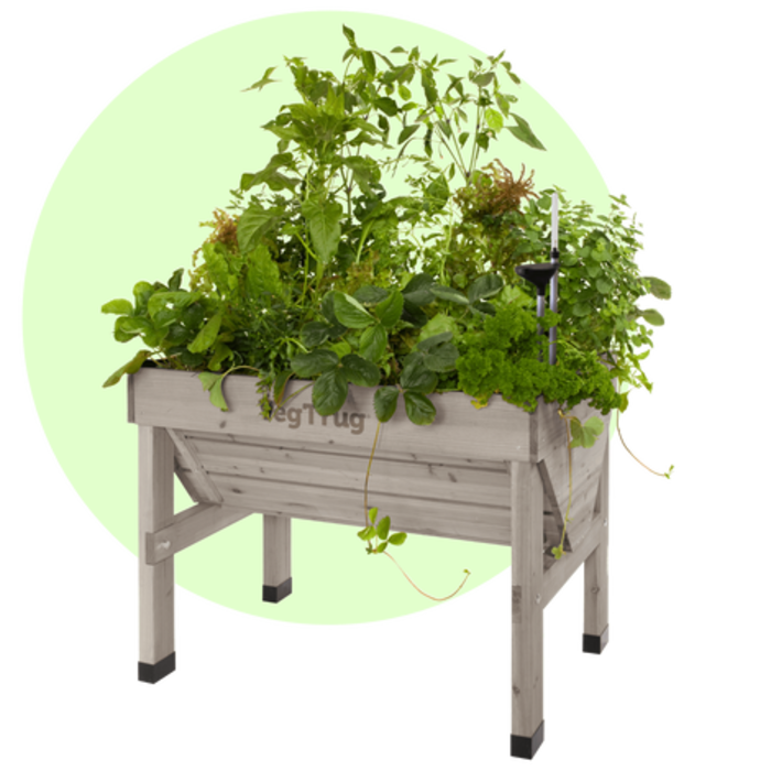 Esschert Design VegTrug Classic 1 Meter – Verhoogde Kweekbak – 100% FSC® Hout – Grey Wash