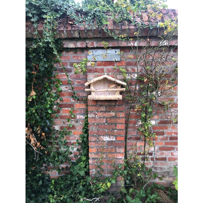 Dutchlander Mangeoire à oiseaux - Support mural - Bois de bouleau - 39x19x24 cm