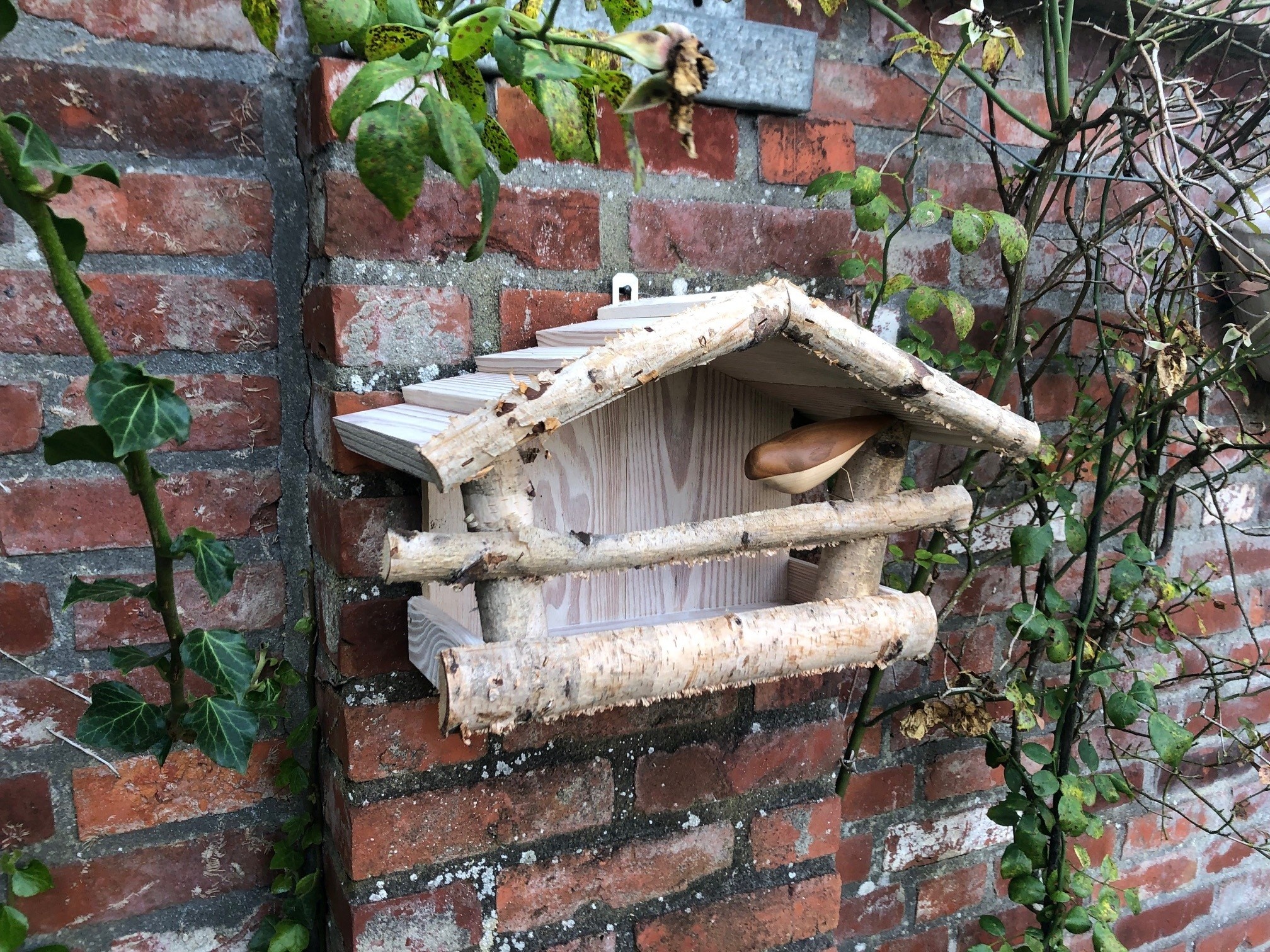 Dutchlander Vogelfutterspender - Wandhalterung - Birkenholz - 39x19x24 cm