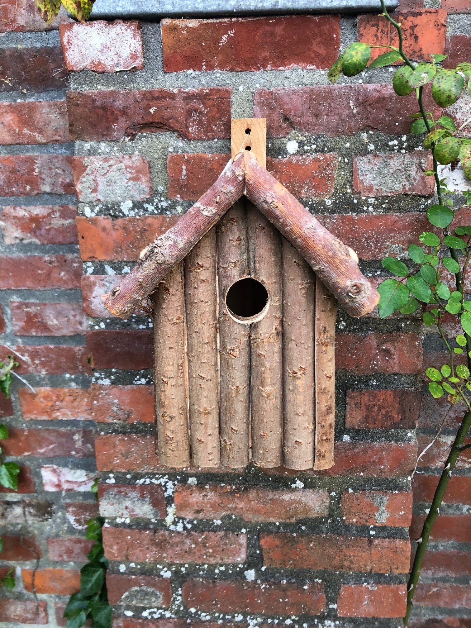 Esschert Design Dutchlander Nestkastje – Dennenhout met Takken & Twijgen – 19x19x28 cm