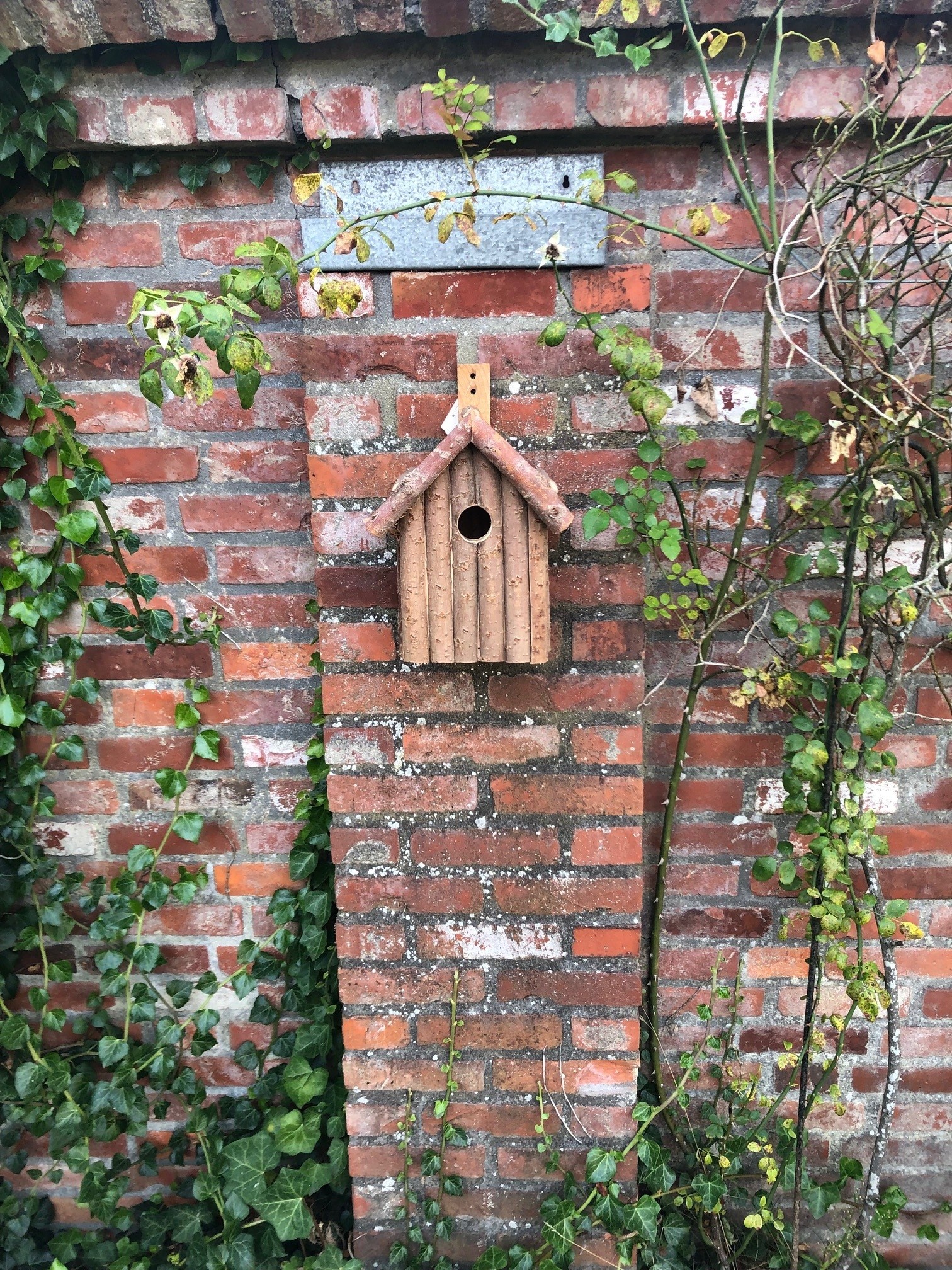 Esschert Design Dutchlander Nestkastje – Dennenhout met Takken & Twijgen – 19x19x28 cm