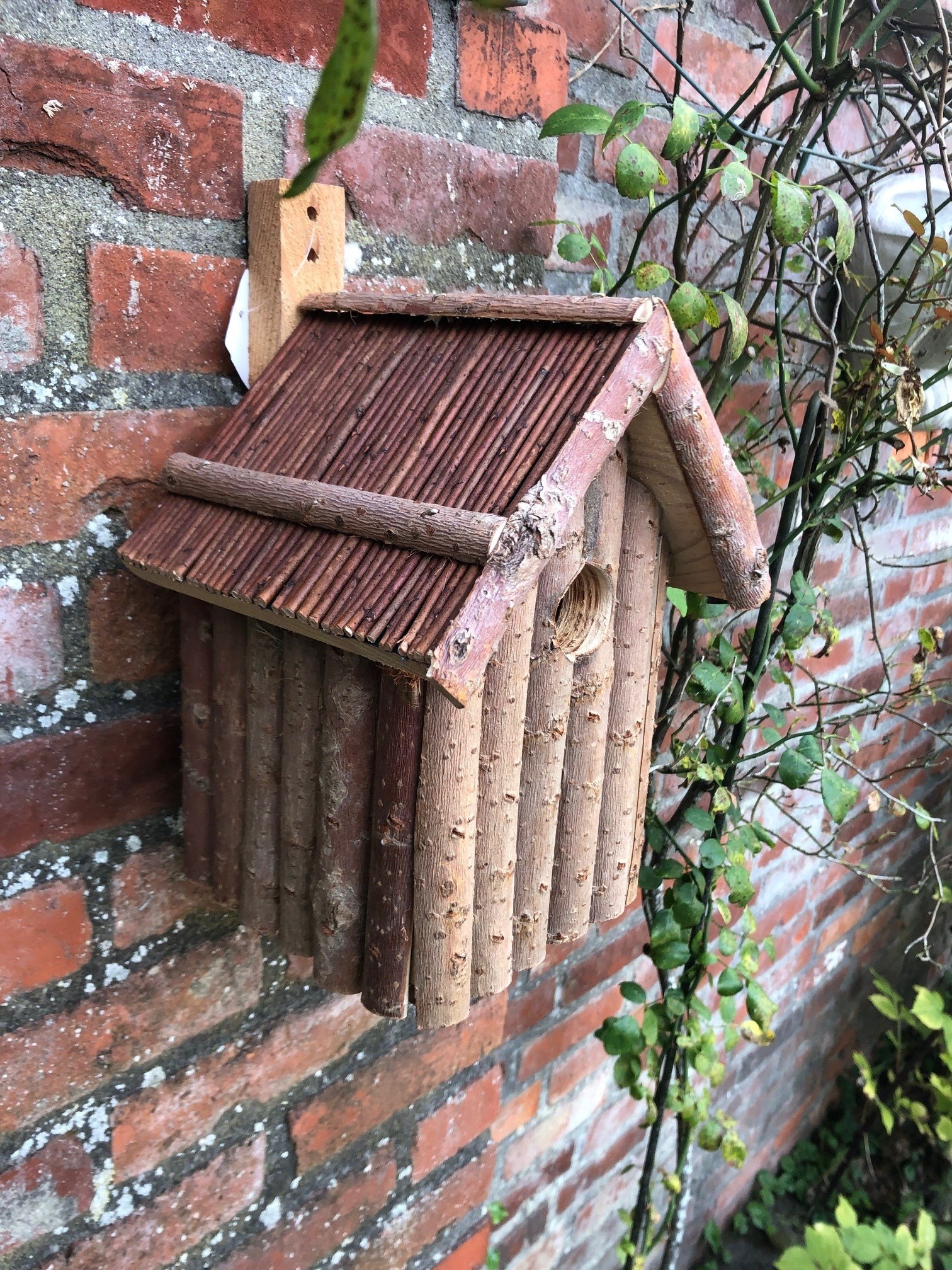 Esschert Design Dutchlander Nestkastje – Dennenhout met Takken & Twijgen – 19x19x28 cm