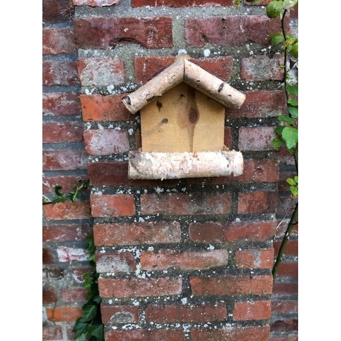 Dutchlander Vogelfutterhaus - Wandmontage - Birke mit Zweigdach & Fettkugelstift - 19x19x9 cm