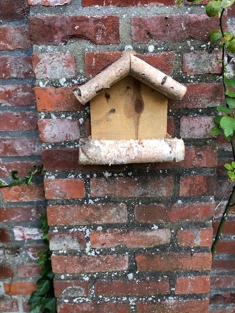 Dutchlander Vogelfutterhaus - Wandmontage - Birke mit Zweigdach & Fettkugelstift - 19x19x9 cm