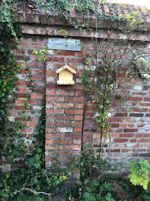 Dutchlander Mangeoire à oiseaux - montage mural - bouleau avec toit en paille - 19x19x9 cm