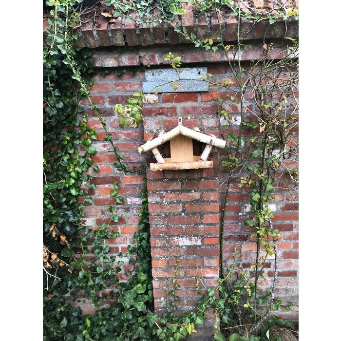 Dutchlander Mangeoire à oiseaux - Support mural - Bois de bouleau - 39x19x24 cm