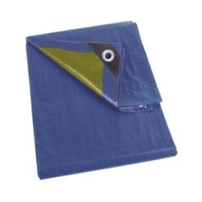 Perel Perel Bâche, 18 anneaux, coins renforcés, rectangulaire, bleu/vert, 70 g/m², 4 x 5 m