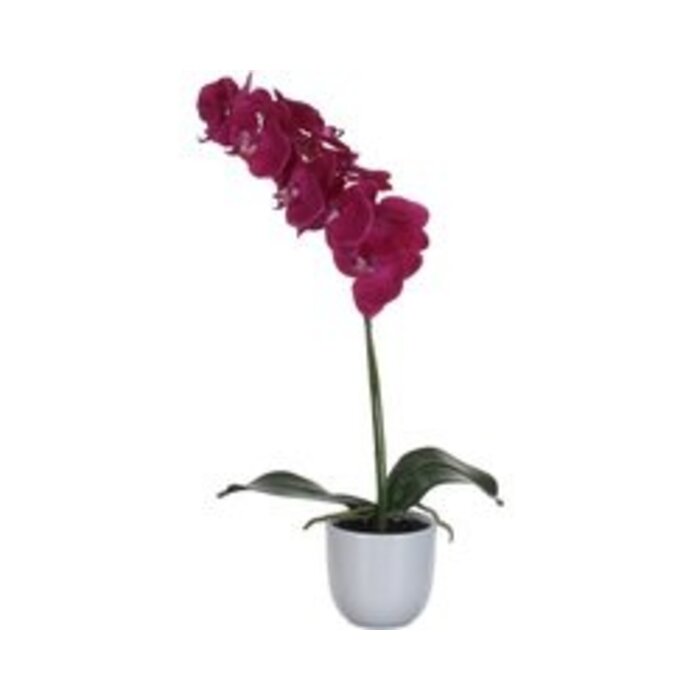 Mica Decorations - Phalaenopsis Kunstplant in Bloempot Tusca - H60 x Ø16 cm - Paars
