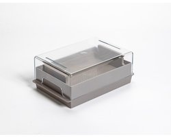 Microgreens sprout Gemüsegewächshaus economy Taupe