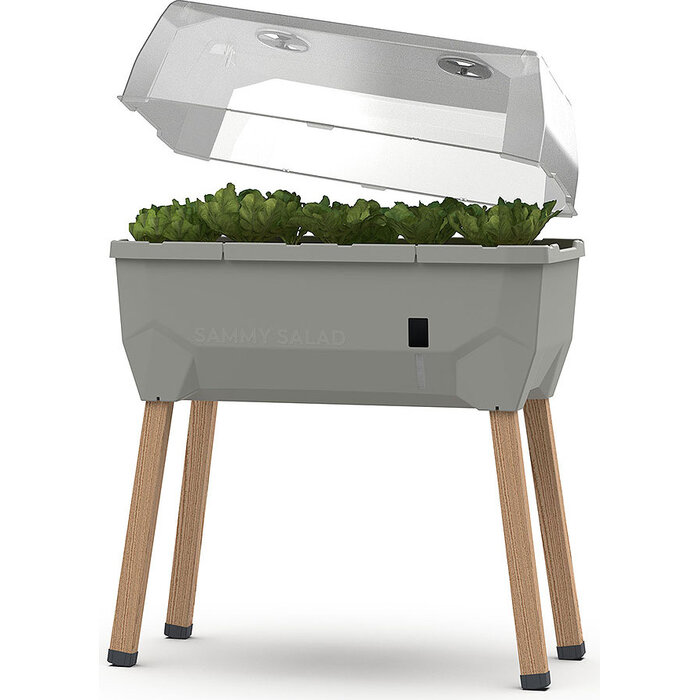 Gusta Garden Propagateur Gusta Gardende Sammy Salad avec réservoir d'eau et couvercle, Gris