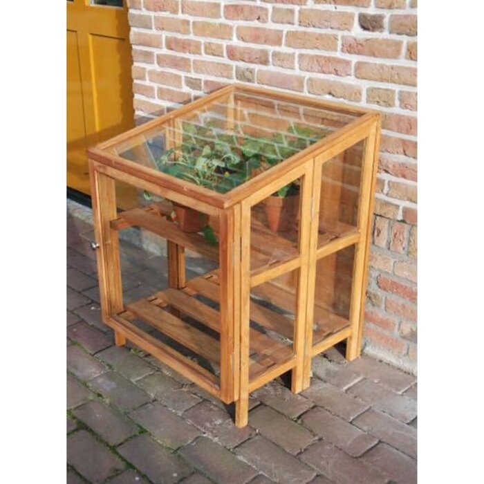 Esschert Design Serre en bois dur Dutchlander