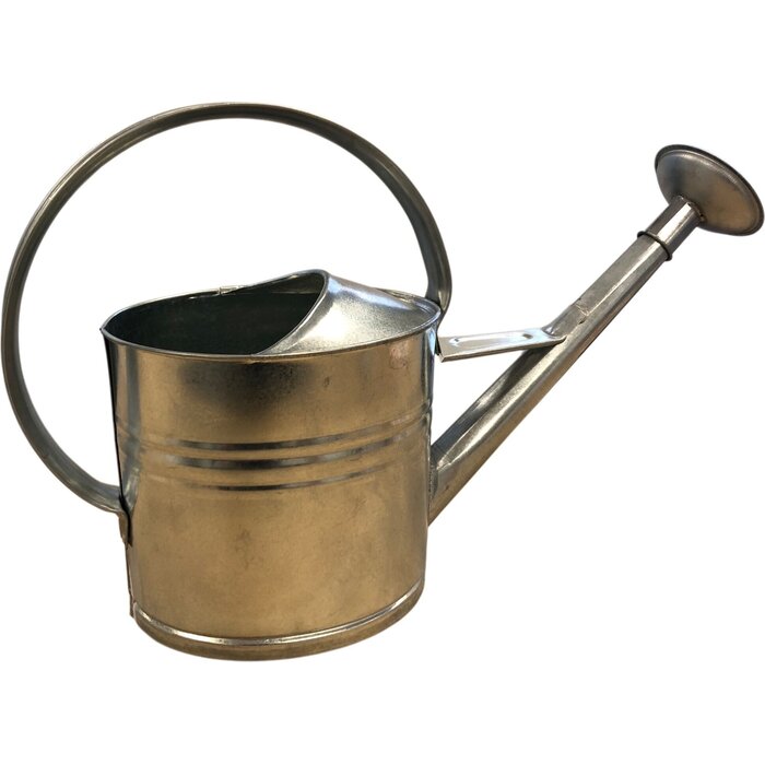 Esschert Design Dutchlander grote metalen verzinkte gieter met een inhoud van 10 liter en voorzien van broeskop.