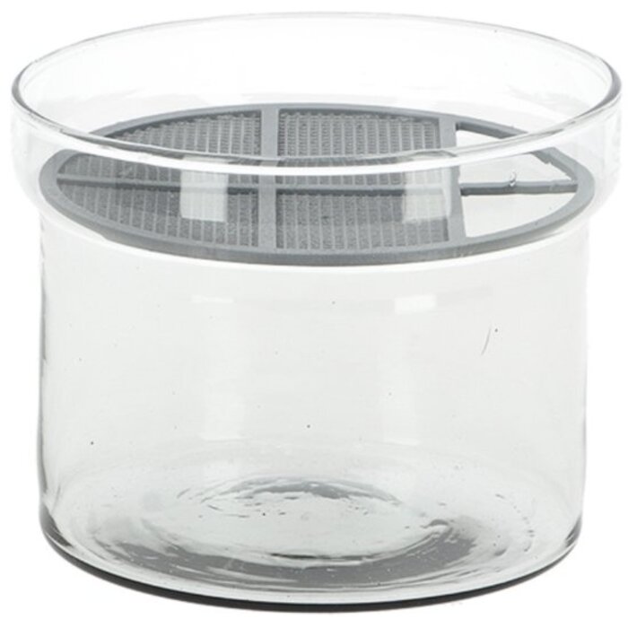 Dutchlander Kit de culture de légumes Dutchlander sprout verre recyclé