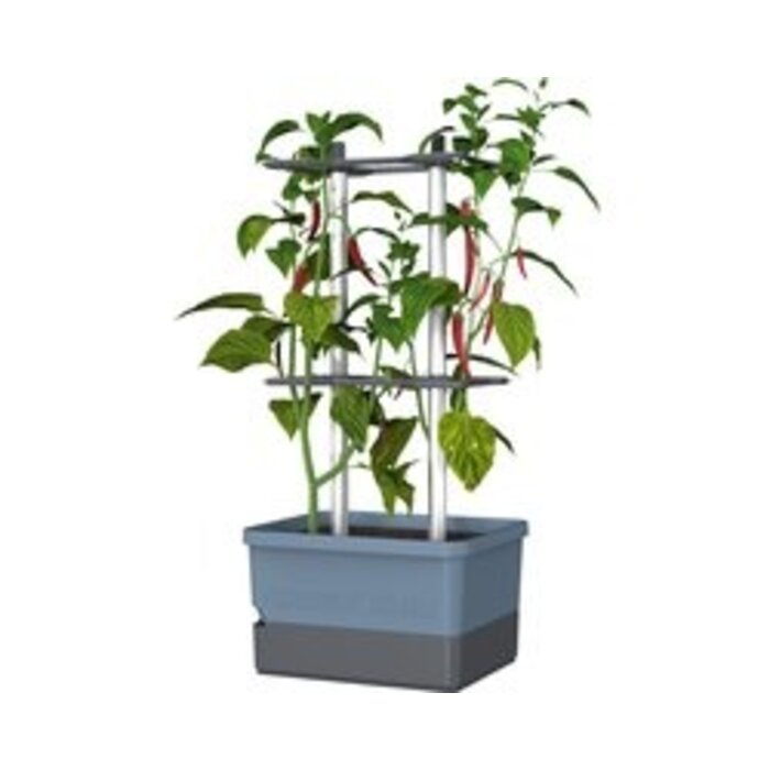 Gusta Garden Gusta Garden Charly Chili Anzuchttopf, Blau