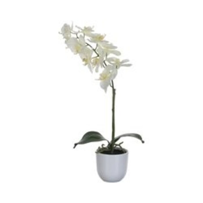 Mica Decorations Plante Phalaenopsis Artificielle en Pot Tusca - H60 x Ø16 cm - Blanc