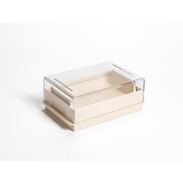 Propagateur de légumes à germes Microgreens economy Ivory