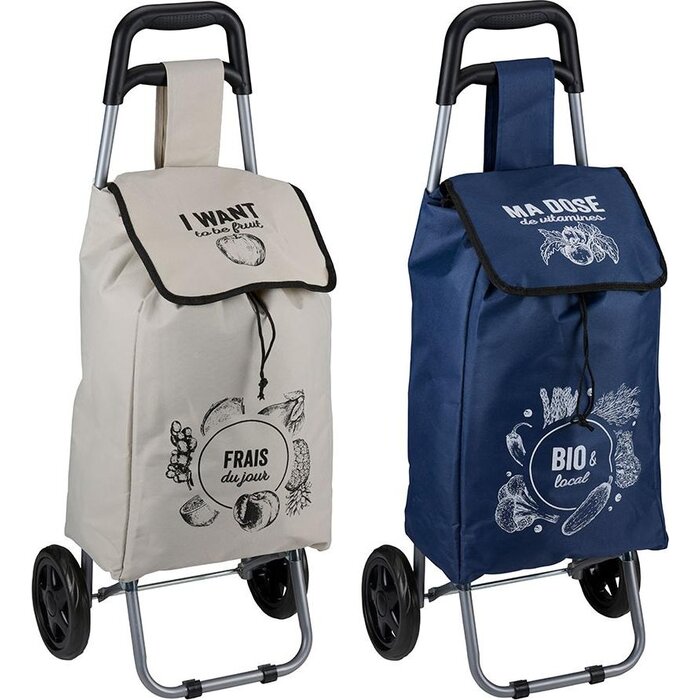 Chariot ou sac à provisions sur roulettes assorti