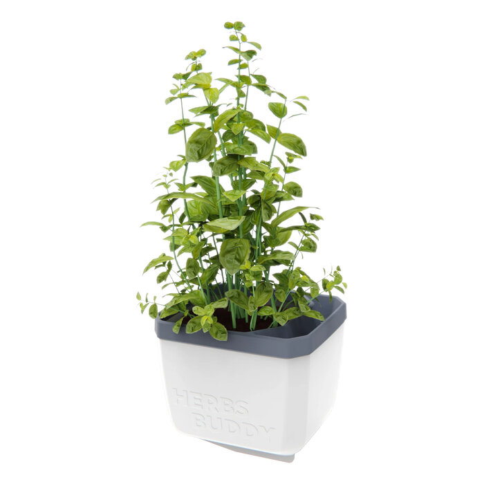 Gusta Garden GUSTA GARDEN Herbs Buddy zelfbewateringskruidenpot ideaal voor o.a. basilicum Wit