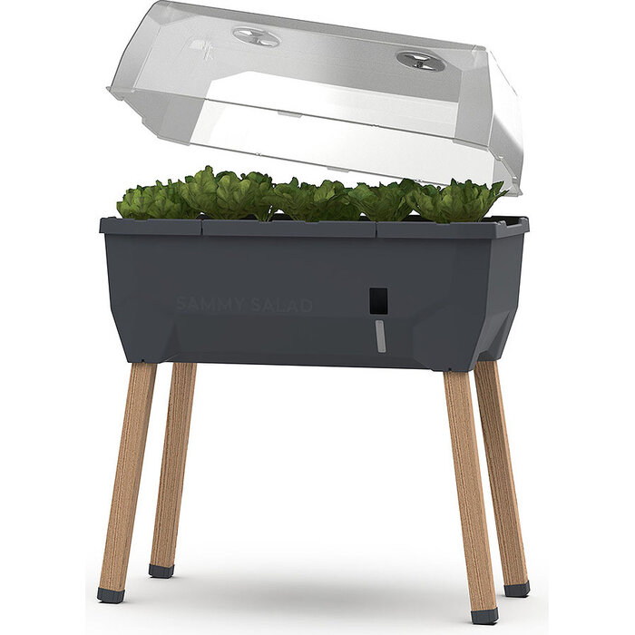 Gusta Garden Gusta Garden Sammy Salatgewächshaus mit Wassertank und Deckel, Anthrazit