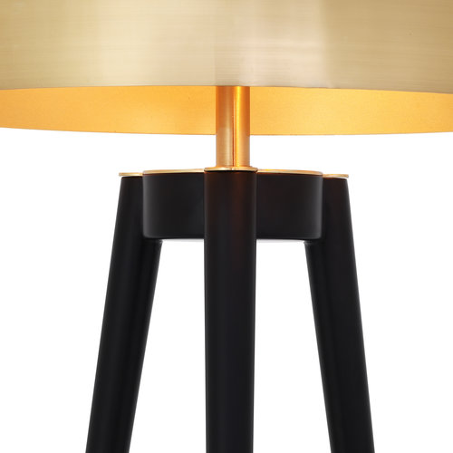 Eichholtz Table Lamp Coyote gold finish