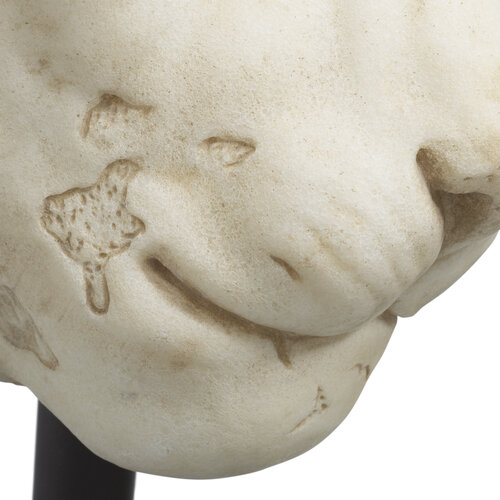 Eichholtz Object Lion Eichholtz Object Lion