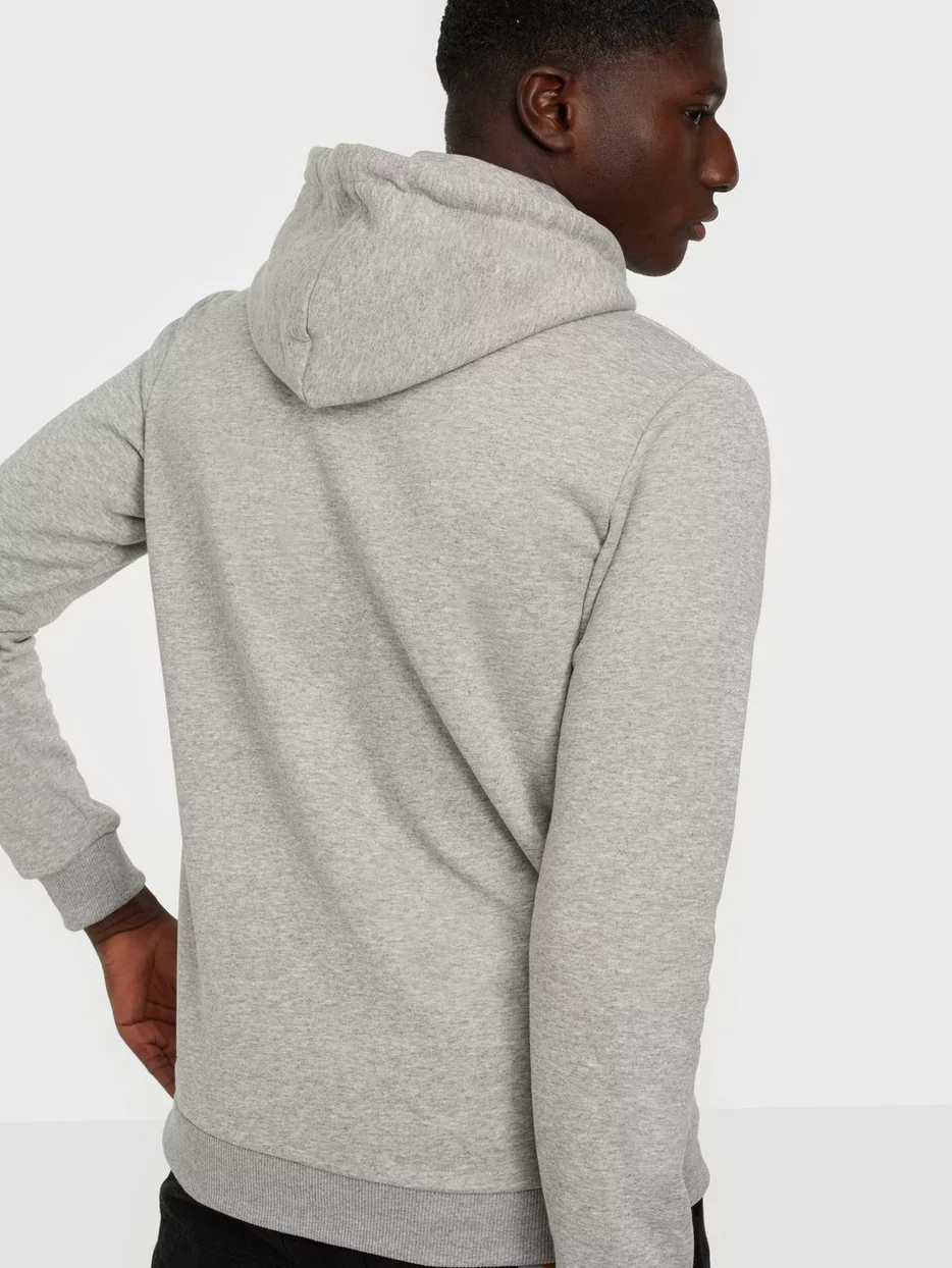 ONSCERES Life  Hoodie  Sweat Light Grey
