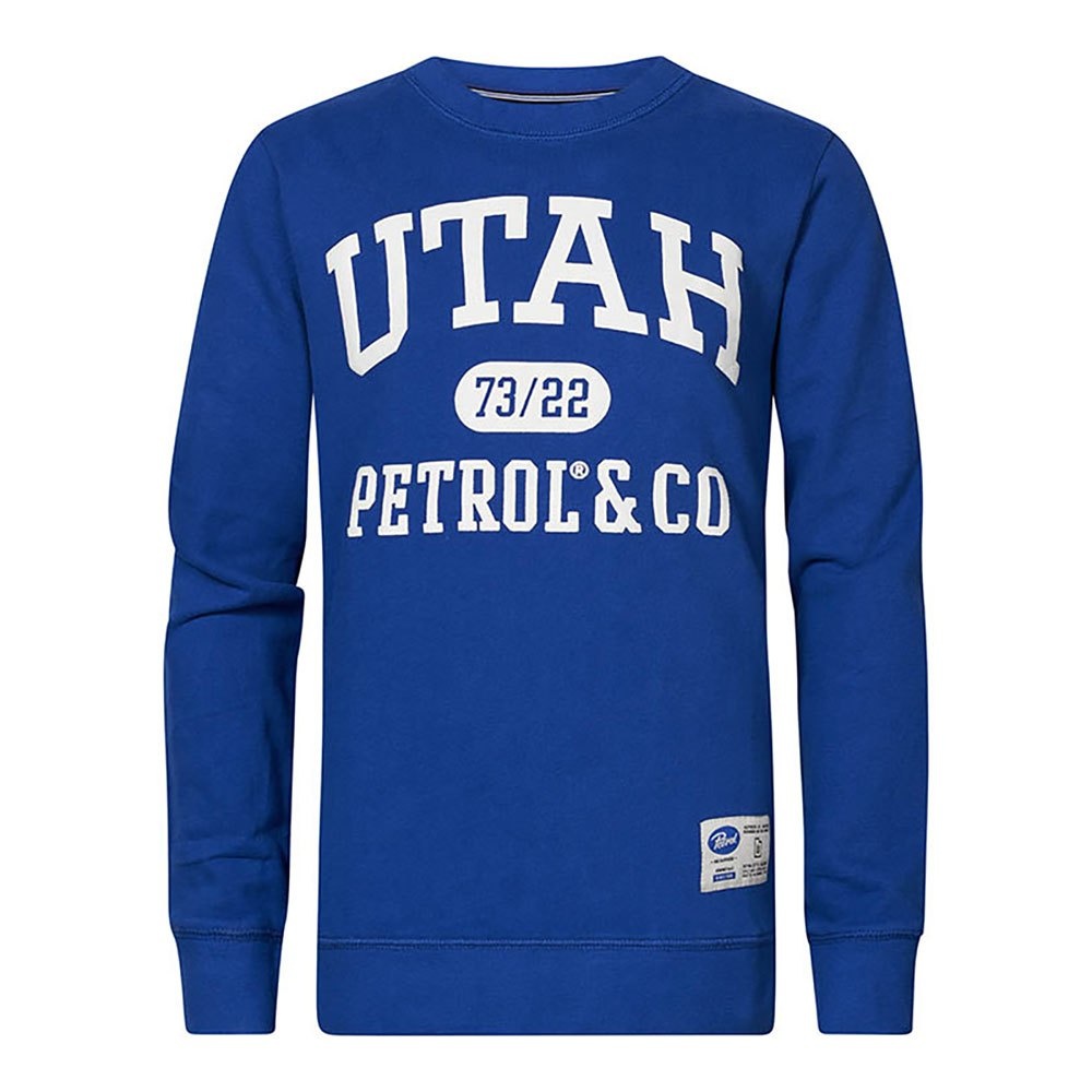 Petrol M-1020-SWR319 - Men Sweater Round Neck Print (5093 Imperial Blue)