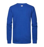 Petrol M-1020-SWR319 - Men Sweater Round Neck Print (5093 Imperial Blue)