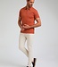 Poloshirt - (233532 Terra)
