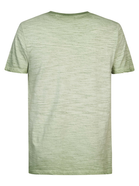 Petrol M-1030-Tsr661 - Men T-Shirt Ss Classic Print (6153 Green Ivy)