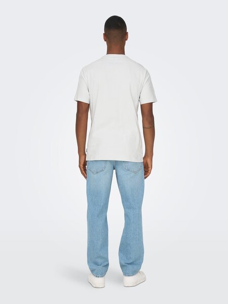 Only & Sons Onsasher REG SS TEE (190644 Glacier Gray)