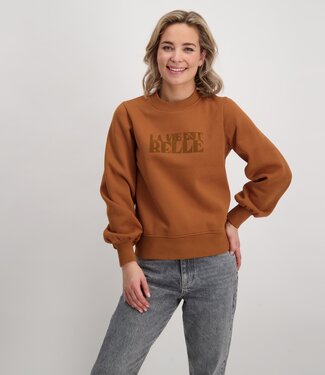 Cars Jeans DANIEK SW Camel