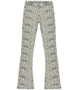 Cars Jeans ZUMA Spot Camel