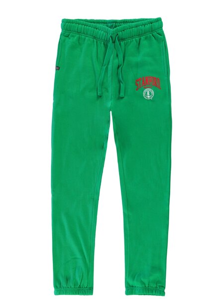 Cars Jeans LUXY SW Pant Green
