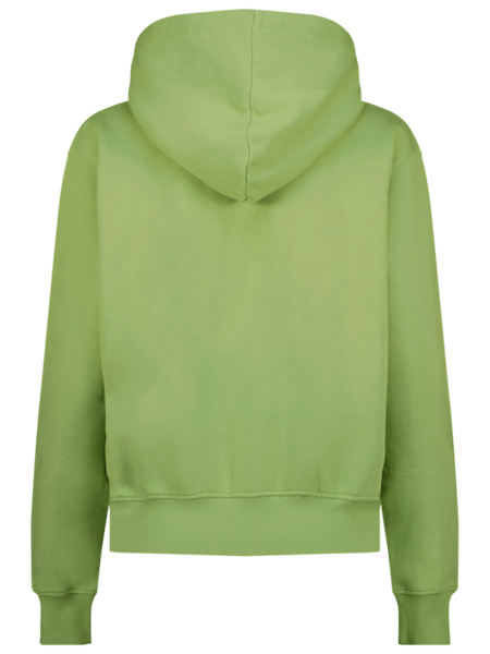 RAIZZED WOMEN Nadine Moss Green Hoody