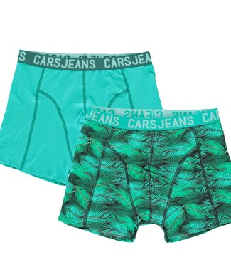 Cars Jeans KIDS BOXER 2PACK BEATLE MINT