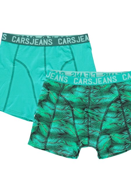 Cars Jeans KIDS BOXER 2PACK BEATLE MINT