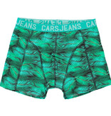 Cars Jeans KIDS BOXER 2PACK BEATLE MINT