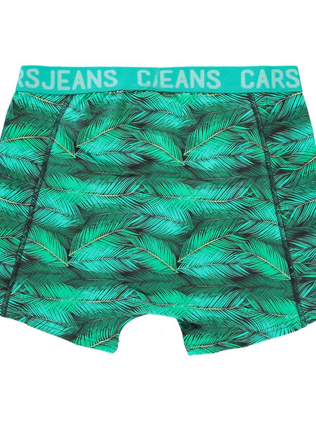 Cars Jeans KIDS BOXER 2PACK BEATLE MINT