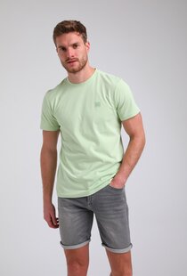 152713 LIME GREEN