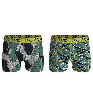 Cars Jeans Kids BOXER 2PACK LEAF