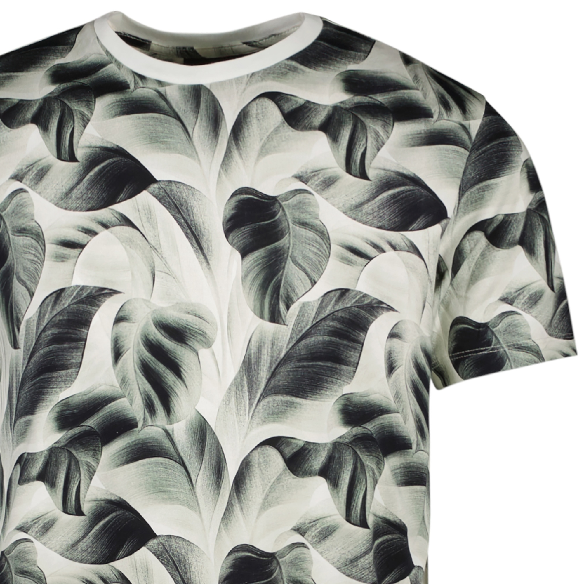 Tipah Ts Moss (44 Moss)