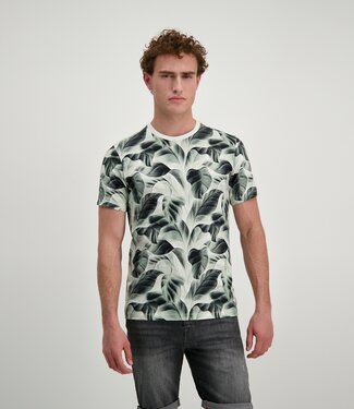 Cars Jeans Tipah Ts Moss (44 Moss)